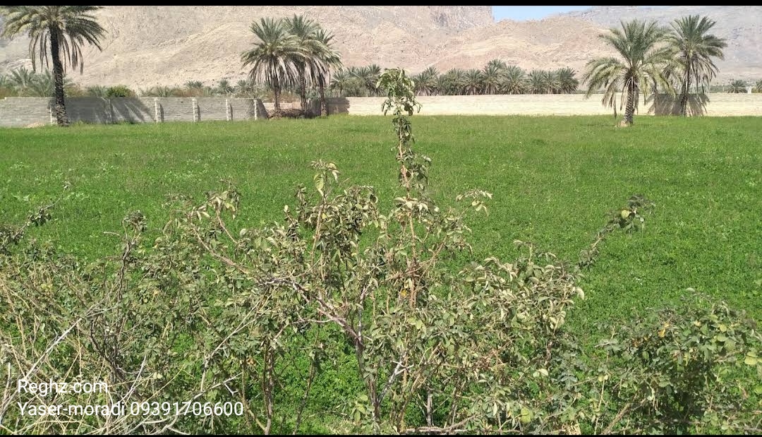 IMG_20230219_055846-1