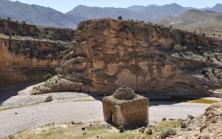 00fff8fc-dc42-4bda-a192-d4d3c8638d1d