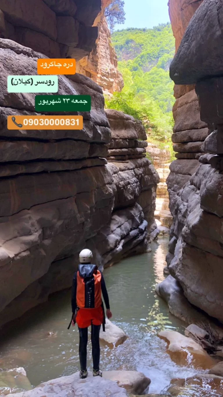 IMG_20240907_102537_308