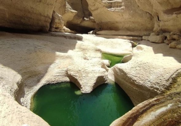 photostudio_1766097037564