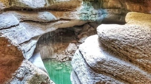 CREATOR: gd-jpeg v1.0 (using IJG JPEG v62), quality = 100?