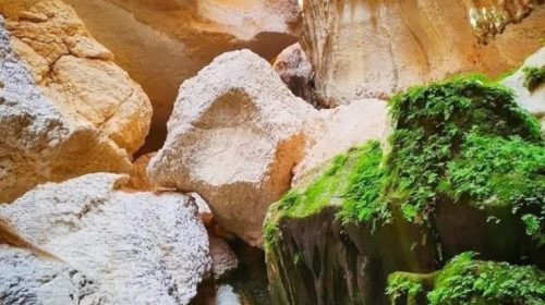 photostudio_1766097208595