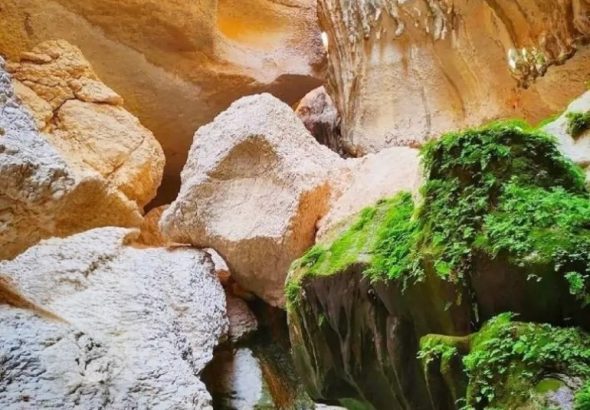 photostudio_1766097208595